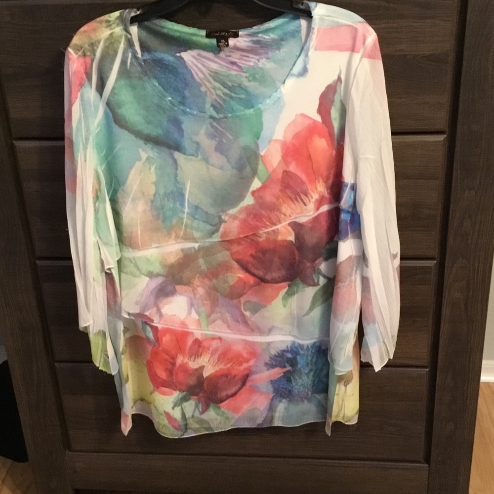 Woman's Plus dressy tunic